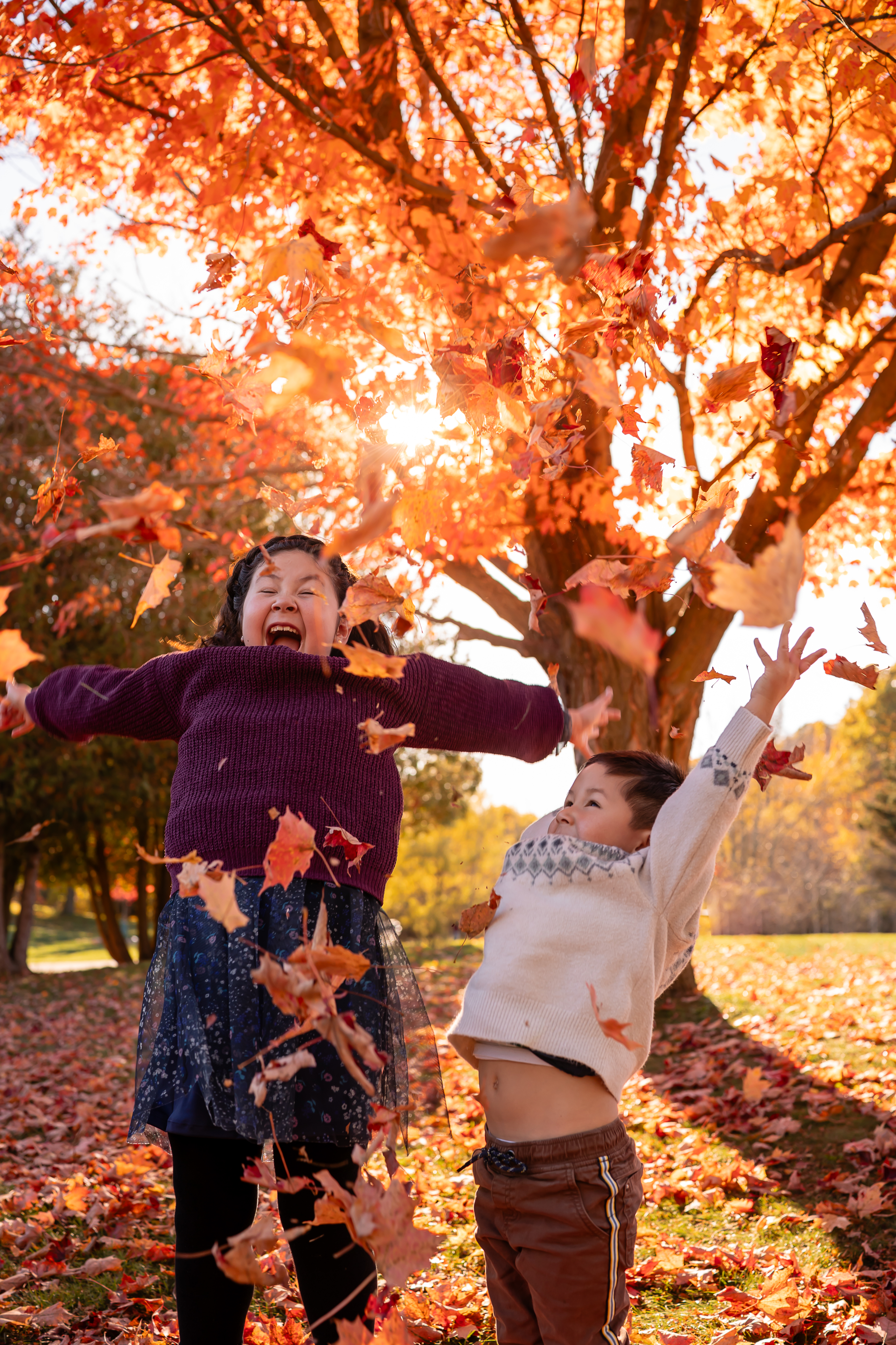 Mini Sessions – Fall & Holidays 2026